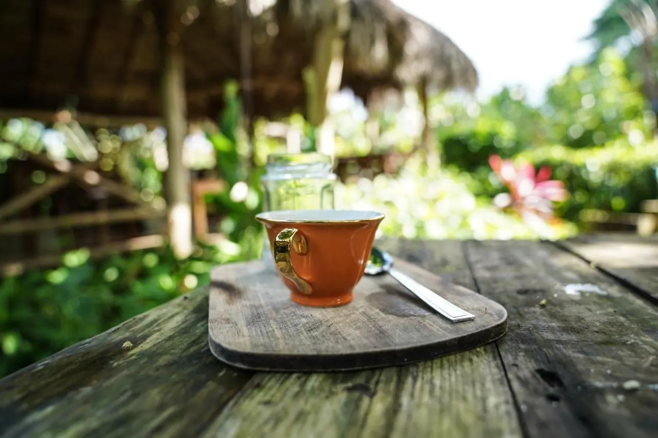 Lodge Samana Ecolodge El Limon