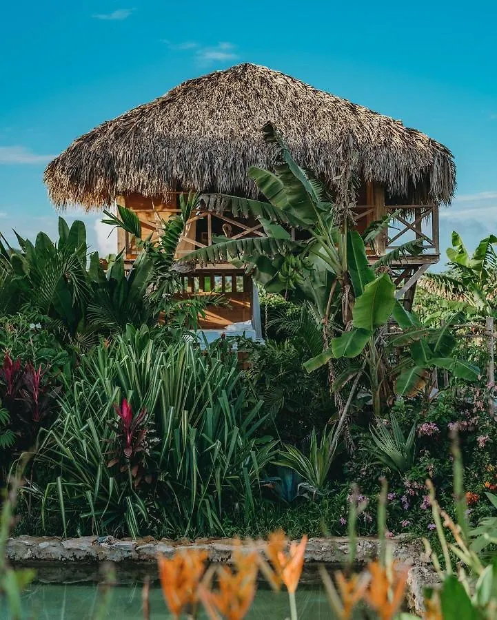 Gerendaház Samana Ecolodge El Limon Dominikai Köztársaság